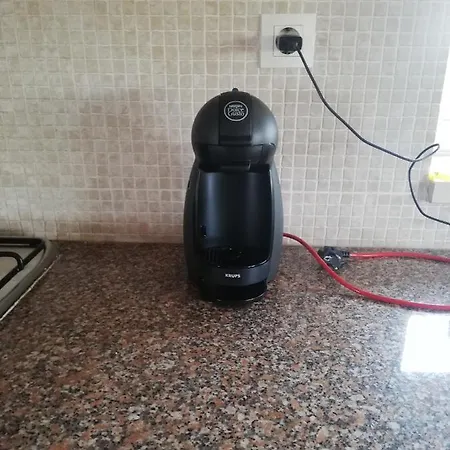 Nyaraló Gomes Pedro Tomar